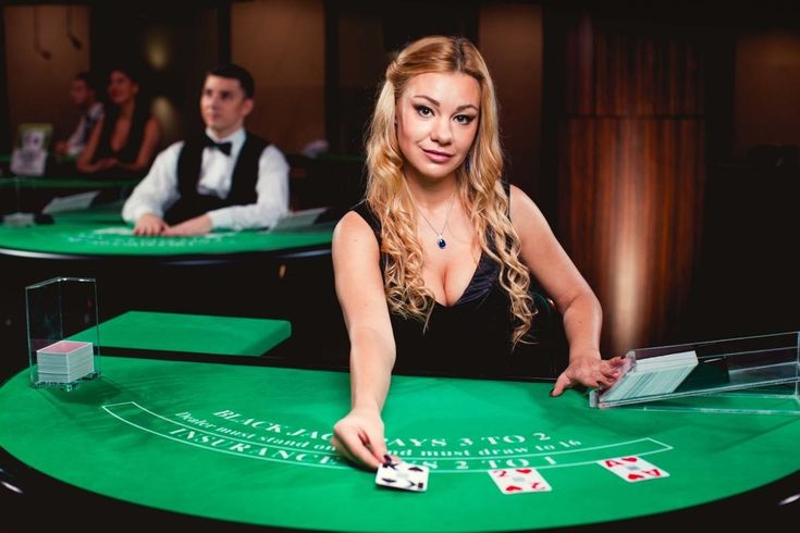 net bet Live Casino